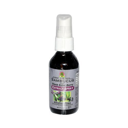 Nature's Answer Alcohol Free Sambucus Extract Spray (1x2 Oz)